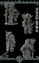 Load image into Gallery viewer, Taurus Shaman - Rocket Pig Wargaming D&D DnD