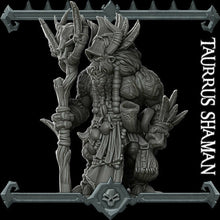 Load image into Gallery viewer, Taurus Shaman - Rocket Pig Wargaming D&D DnD