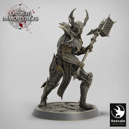Blood Knight Hammer Squadron - Order Immortalis - Rescale Miniatures - Wargaming D&D DnD