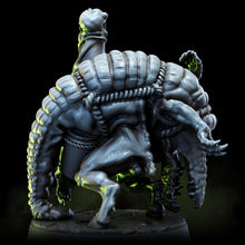 Load image into Gallery viewer, High Alchemist Delphus | The Alchemic Order