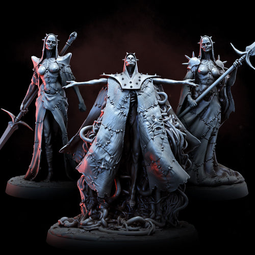 The Coterie | The Anatomists