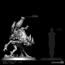Load image into Gallery viewer, Mycelial Host | Mycena Mortifera