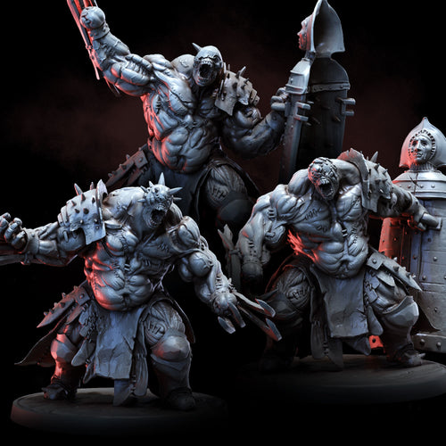 The Meat | The Anatomists