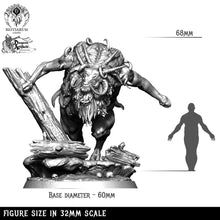 Load image into Gallery viewer, The Bies | Dark Forest | Bestiarum | Miniatures D&amp;D Wargaming DnD