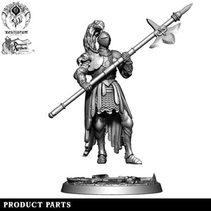 Lionheart Knights | House Lionheart | Bestiarum | Miniatures D&D Wargaming DnD
