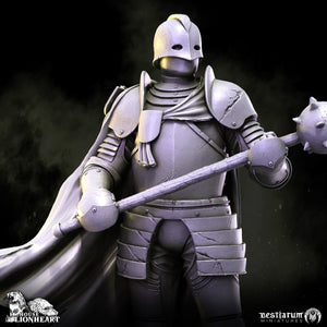 Guard Captain | House Lionheart | Bestiarum | Miniatures D&D Wargaming DnD