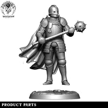 Load image into Gallery viewer, Guard Captain | House Lionheart | Bestiarum | Miniatures D&amp;D Wargaming DnD