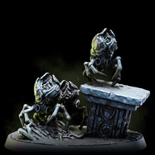 Load image into Gallery viewer, Acarid Parasites | Church of the Acarid