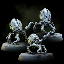 Load image into Gallery viewer, Acarid Parasites | Church of the Acarid