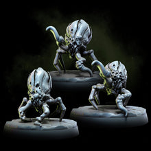 Load image into Gallery viewer, Acarid Parasites | Church of the Acarid