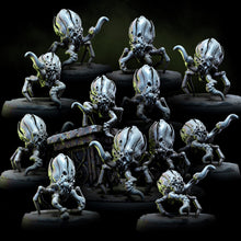 Load image into Gallery viewer, Acarid Parasites | Church of the Acarid