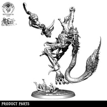 Load image into Gallery viewer, Bloodghast | The Abhorrents | Bestiarum | Miniatures D&amp;D Wargaming DnD