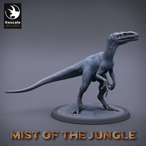 Wild Raptor - Walk - Mist of the Jungle - Rescale Miniatures - Wargaming D&D DnD