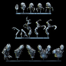 Load image into Gallery viewer, Acarid Kitbash Set | Church of the Acarid