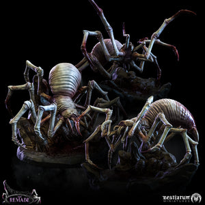 Cave Spiders | The Remade | Bestiarum | Miniatures D&D Wargaming DnD