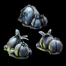 Load image into Gallery viewer, Acarid Eggs | Church of the Acarid