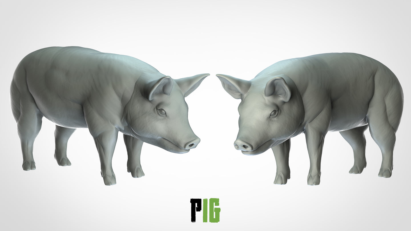 Pig - Animals - 3D IP Studios - Terrain Wargaming D&D DnD 28mm 32mm 40mm 54mm 75mm 100mm 125mm