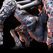 Load image into Gallery viewer, Old Shacklegut | Tormentor Cults