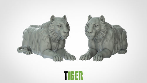 Tiger - Animals - 3D IP Studios - Terrain Wargaming D&D DnD 28mm 32mm 40mm 54mm 75mm 100mm 125mm