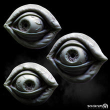 Load image into Gallery viewer, All Eyes On You | Halloween Decorations
