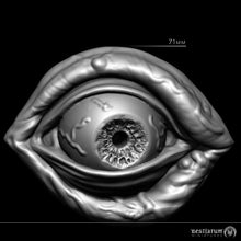 Load image into Gallery viewer, The Eyes Beyond | Halloween Decorations