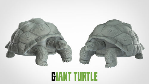 Giant Turtle - Animals - 3D IP Studios - Terrain Wargaming D&D DnD 28mm 32mm 40mm 54mm 75mm 100mm 125mm