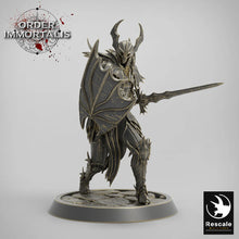 Load image into Gallery viewer, Blood Knight Sword Squadron - Order Immortalis - Rescale Miniatures - Wargaming D&amp;D DnD