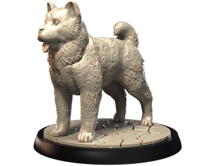 Akita (American) - Dogs Vol 1 - 3D IP Studios - Terrain Wargaming D&D DnD 28mm 32mm 40mm 54mm 75mm 100mm 125mm