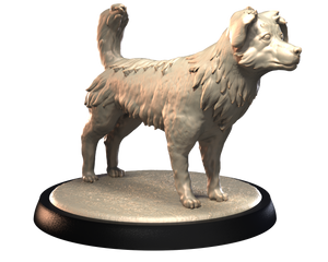 Australian Shepherd - Dogs Vol 1 - 3D IP Studios - Terrain Wargaming D&D DnD 28mm 32mm 40mm 54mm 75mm 100mm 125mm