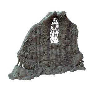 Flayed Apse - Biogothic - Multiverse - Terrain Wargaming D&D DnD