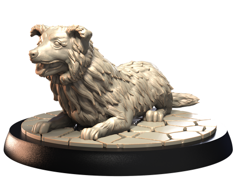 Border Collie - Dogs Vol 1 - 3D IP Studios - Terrain Wargaming D&D DnD 28mm 32mm 40mm 54mm 75mm 100mm 125mm