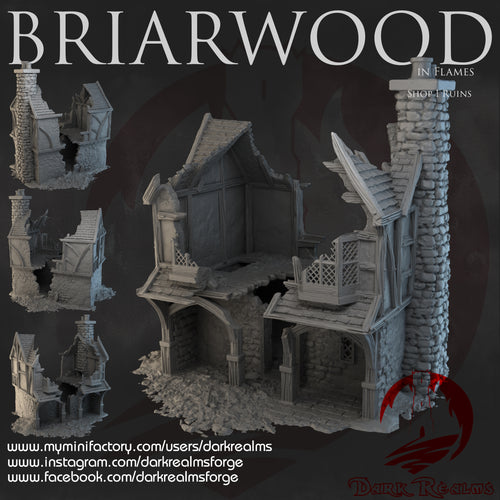 Shop 1 Ruins - Briarwood - Dark Realms Terrain Wargaming D&D DnD
