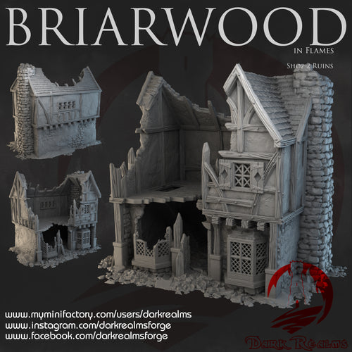 Shop 2 Ruins - Briarwood - Dark Realms Terrain Wargaming D&D DnD
