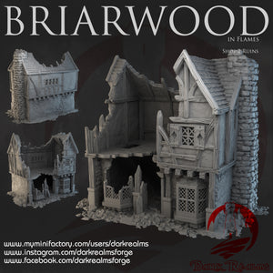 Shop 2 Ruins - Briarwood - Dark Realms Terrain Wargaming D&D DnD