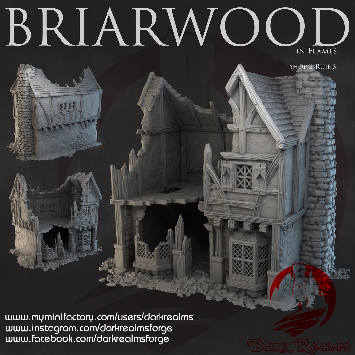 Shop 2 Ruins - Briarwood - Dark Realms Terrain Wargaming D&D DnD