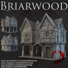 Load image into Gallery viewer, Shop 3 - Briarwood - Dark Realms Terrain Wargaming D&amp;D DnD