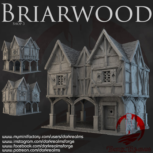Shop 3 - Briarwood - Dark Realms Terrain Wargaming D&D DnD