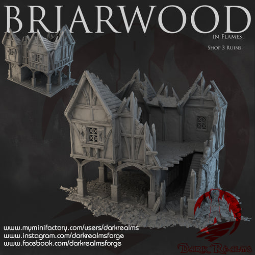 Shop 3 Ruins - Briarwood - Dark Realms Terrain Wargaming D&D DnD
