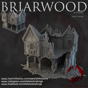 Shop 3 Ruins - Briarwood - Dark Realms Terrain Wargaming D&D DnD
