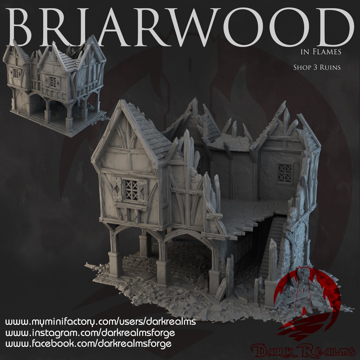 Shop 3 Ruins - Briarwood - Dark Realms Terrain Wargaming D&D DnD