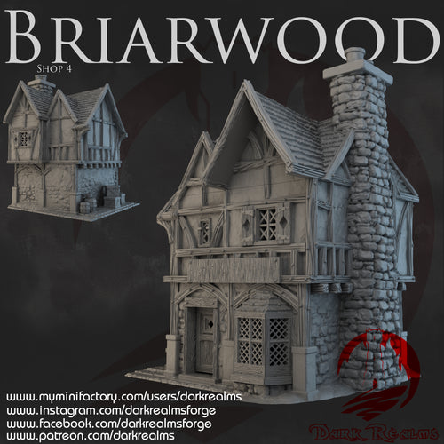 Shop 4 - Briarwood - Dark Realms Terrain Wargaming D&D DnD