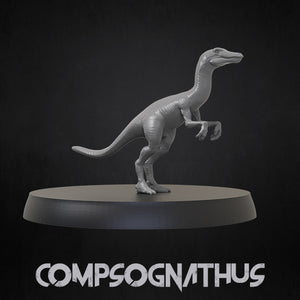 Compsognathus - Dinosaurs Set 3 - 3D IP Studios - Terrain Wargaming D&D DnD 28mm 32mm 40mm 54mm 75mm 100mm 125mm