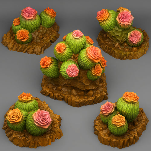 Cactus Flowers - Print Your Monsters - Wargaming D&D DnD