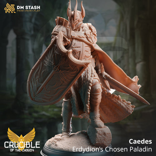 Caedes Erdydion’s Chosen Paladin - Crucible of the Chosen  - DM Stash - Wargaming D&D DnD, 28mm, 32mm, 40mm, 54mm, 75mm, 100mm, 125mm