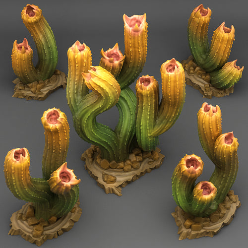 Carnivorous Cactus - Print Your Monsters - Wargaming D&D DnD
