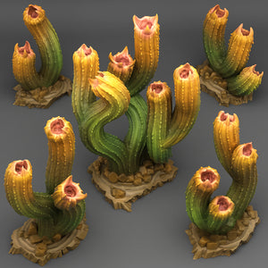 Carnivorous Cactus - Print Your Monsters - Wargaming D&D DnD