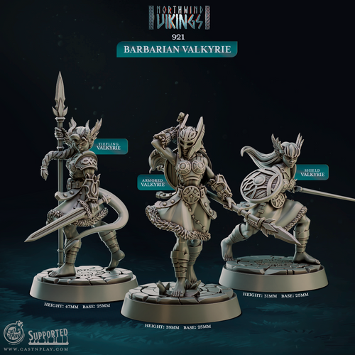Barbarian Valkyries - Northwind Vikings - CastNPlay - Terrain Wargaming D&D DnD 28mm 32mm 40mm 54mm