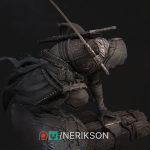 Nasir, The Unseen Blade - Nerikson - Wargaming D&D DnD