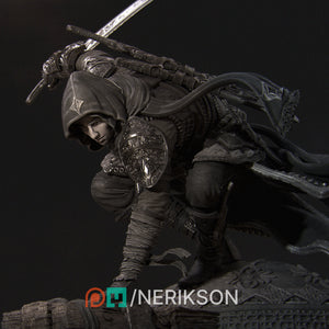 Nasir, The Unseen Blade - Nerikson - Wargaming D&D DnD