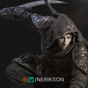 Nasir, The Unseen Blade - Nerikson - Wargaming D&D DnD